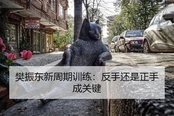 樊振东新周期训练：反手还是正手成关键